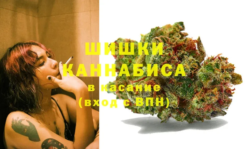 закладки  даркнет формула  Бошки Шишки THC 21%  Камызяк 